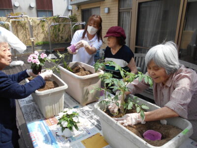 夏野菜に挑戦🍅