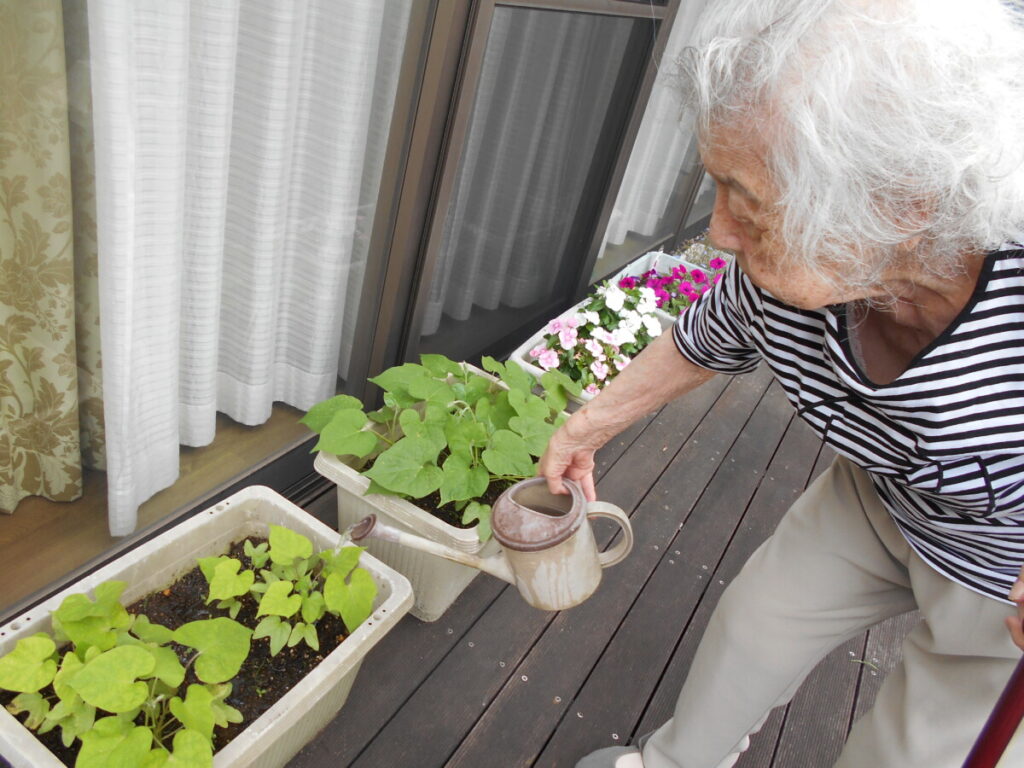 🍆収穫まであとどれくらい？🍅