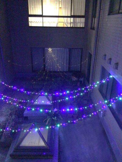 🎄クリスマスに向けて🛷