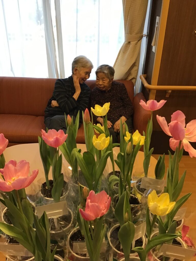 🌷アイスチューリップ　～和名ヶ谷中学校より　続編～