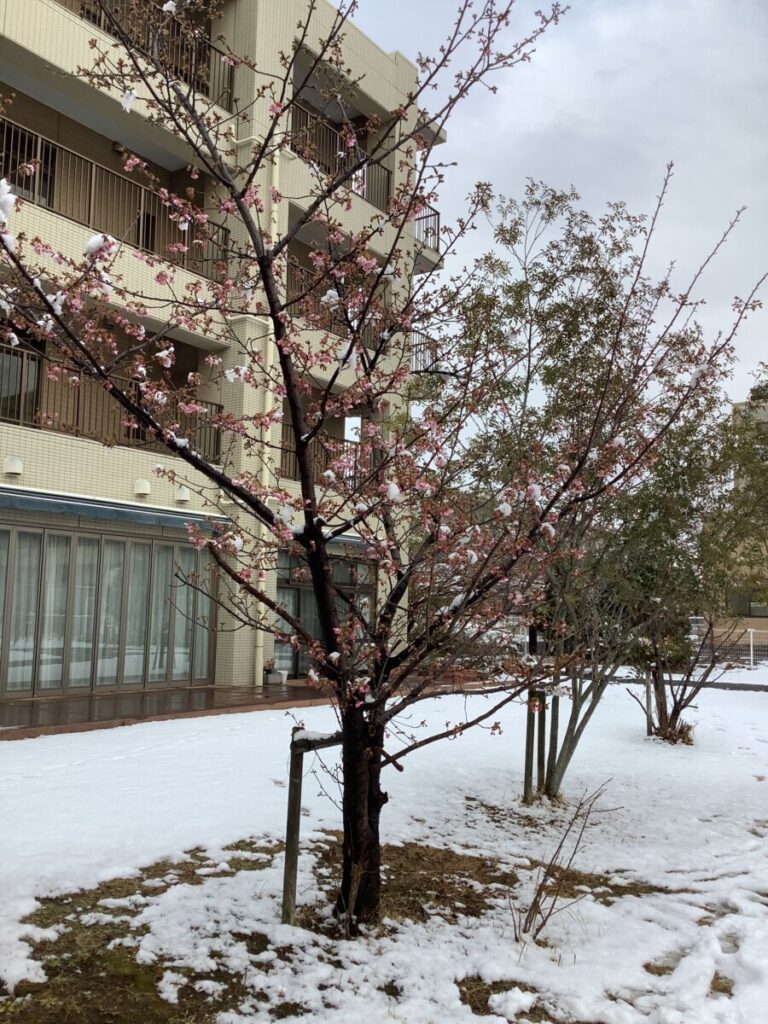 ❄️立春を迎えて❄️💫❄️