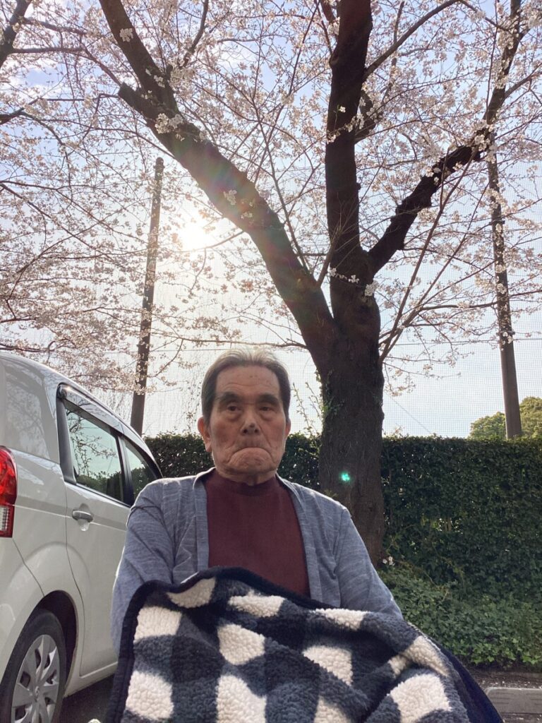 🌸お花見をしました(*^-^*)🌸