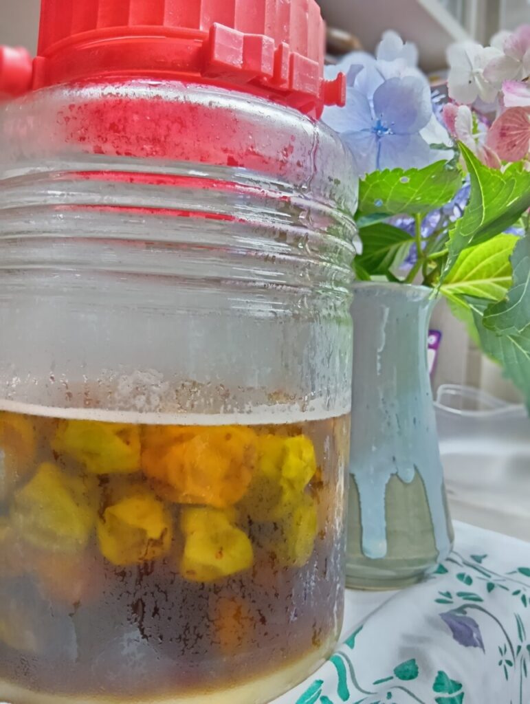 恒例！梅ジュースで乾杯🍸